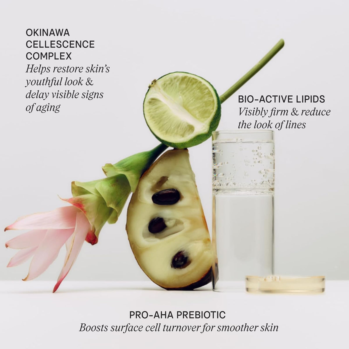 TATCHA The Longevity Serum, Delay Visible Signs of Aging & Boost Resilience